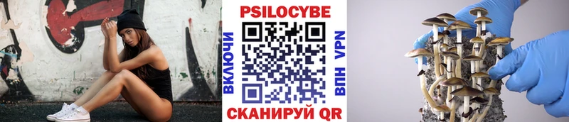 Купить закладки  Реутов  Галлюциногенные грибы Psilocybine cubensis 